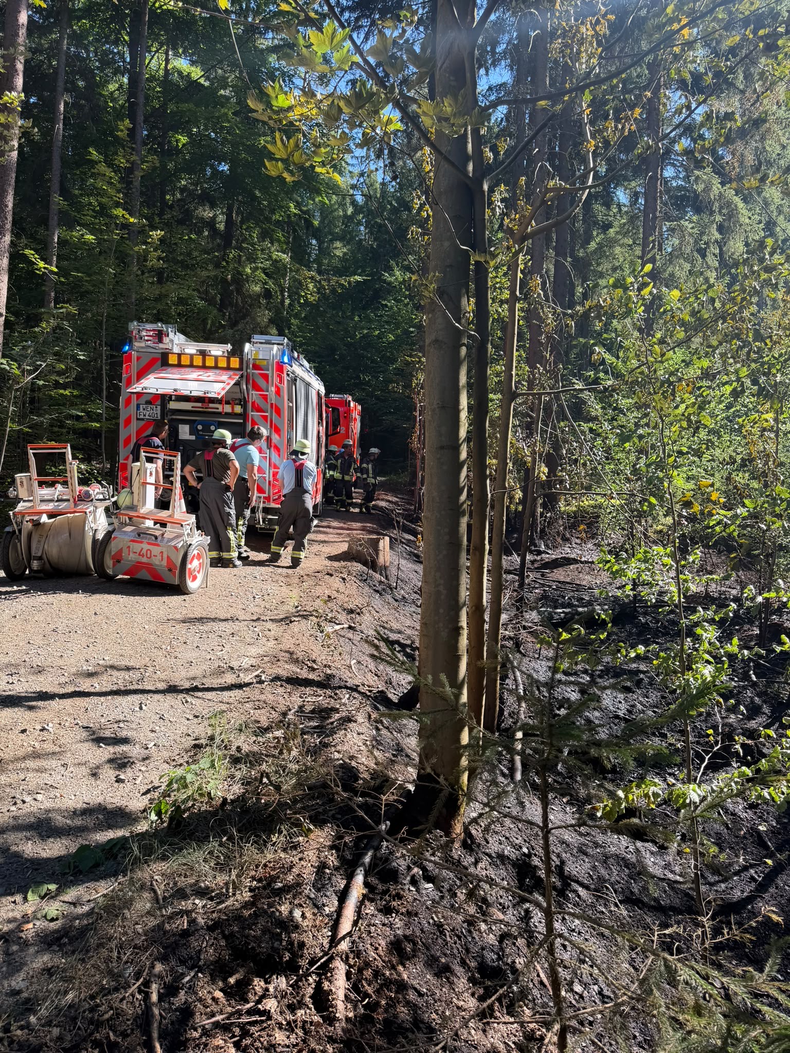 15.08. -  B2 Wald - klein (<1000m²) >Tröglersricht 