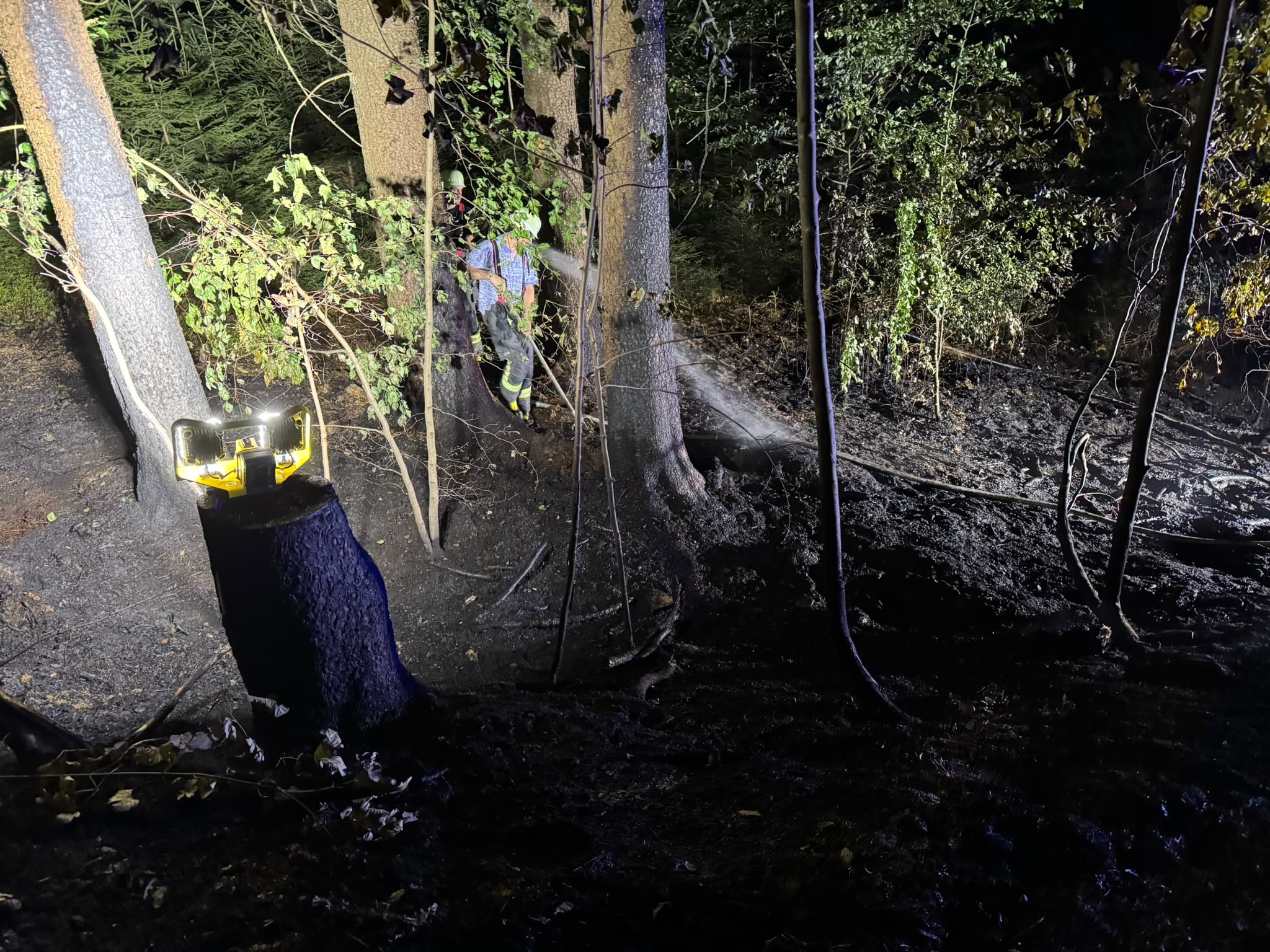 14.08. - B2 Wald - klein (<1000m²) >Tröglersricht 