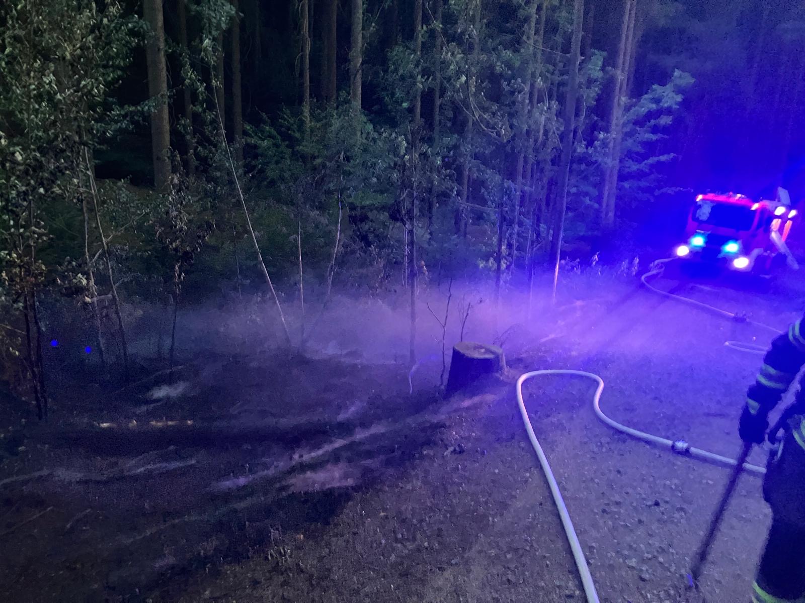 14.08. - B2 Wald - klein (<1000m²) >Tröglersricht 