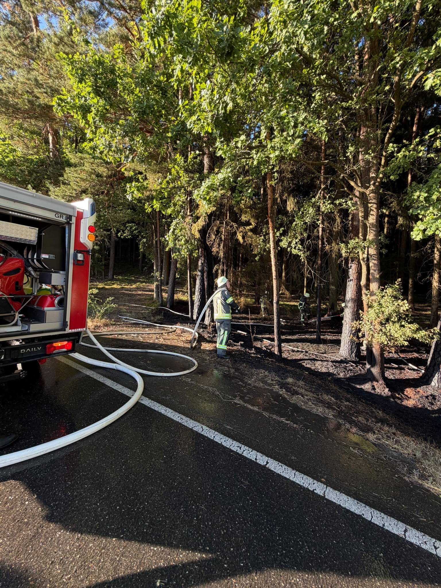 11.08. - B2 Wald - klein  (<1000m²) Mallersricht >>Neunkirchen 