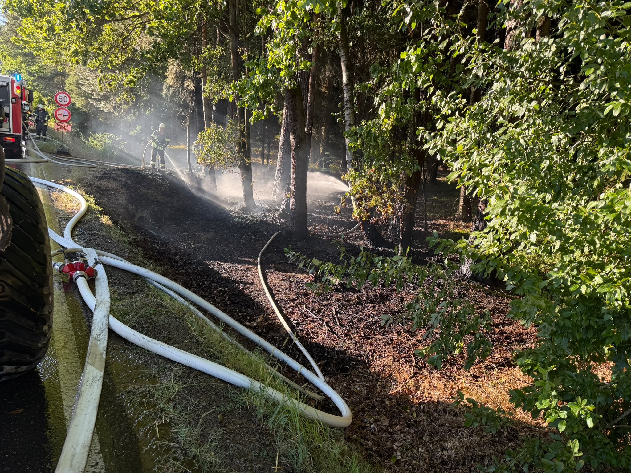 11.08. - B2 Wald - klein  (<1000m²) Mallersricht >>Neunkirchen 