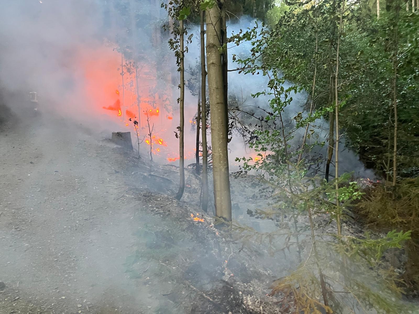 14.08. - B2 Wald - klein (<1000m²) >Tröglersricht 