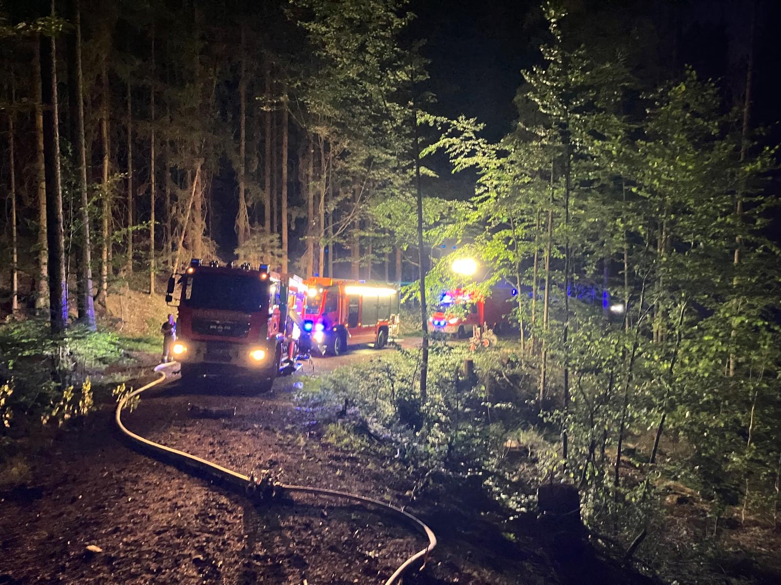 14.08. - B2 Wald - klein (<1000m²) >Tröglersricht 