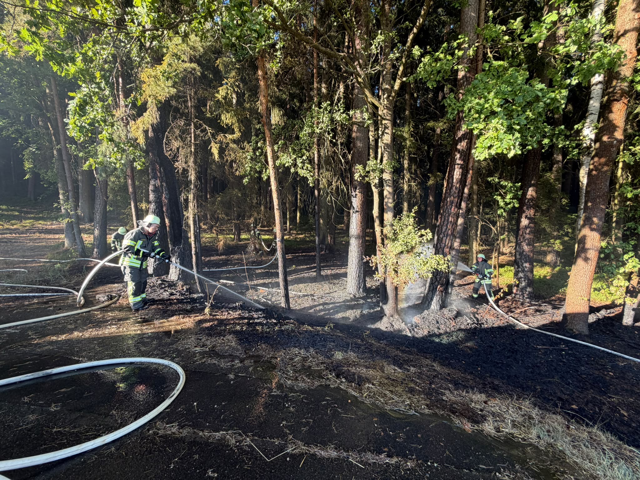 11.08. - B2 Wald - klein  (<1000m²) Mallersricht >>Neunkirchen 