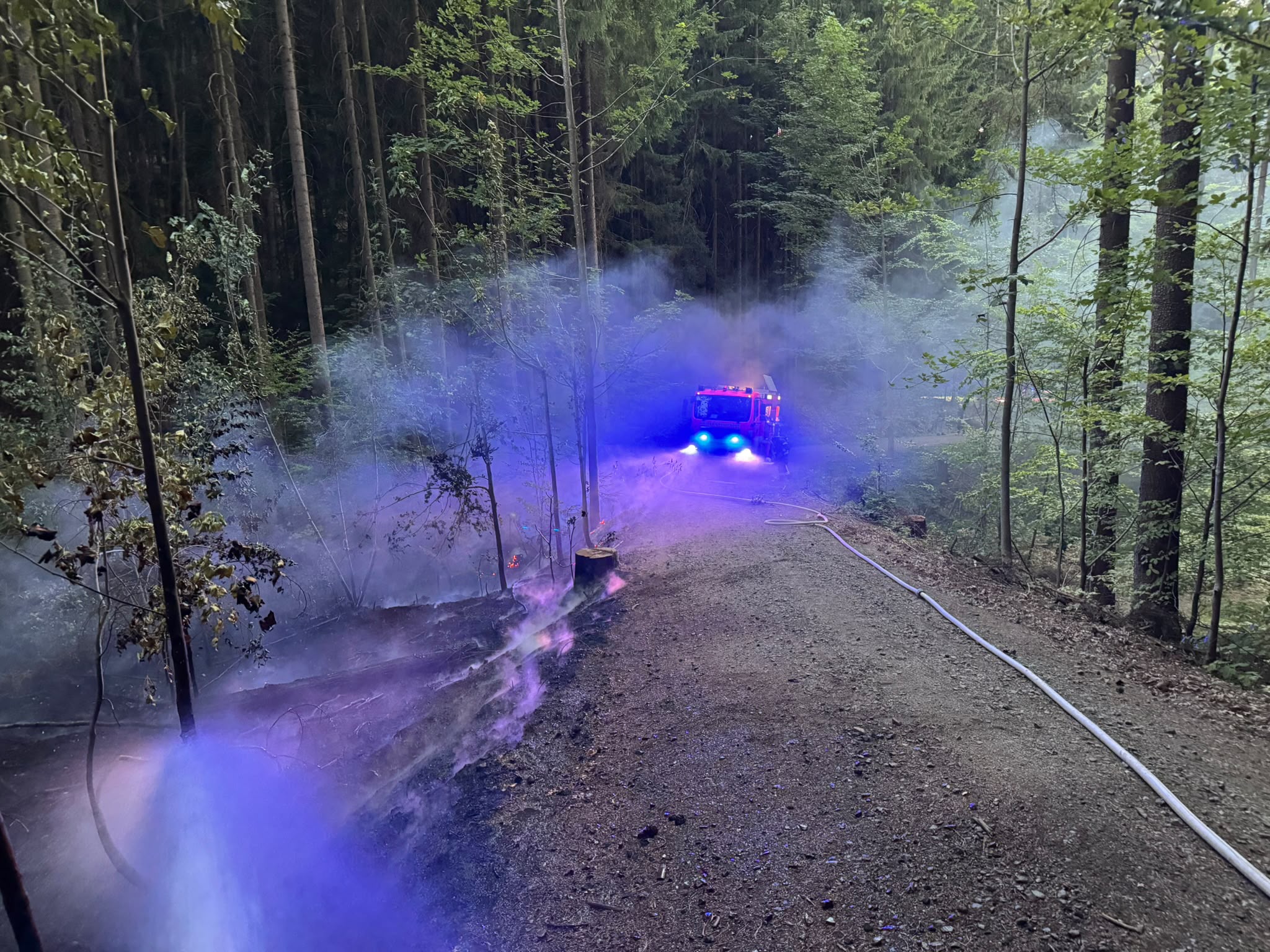 14.08. - B2 Wald - klein (<1000m²) >Tröglersricht 