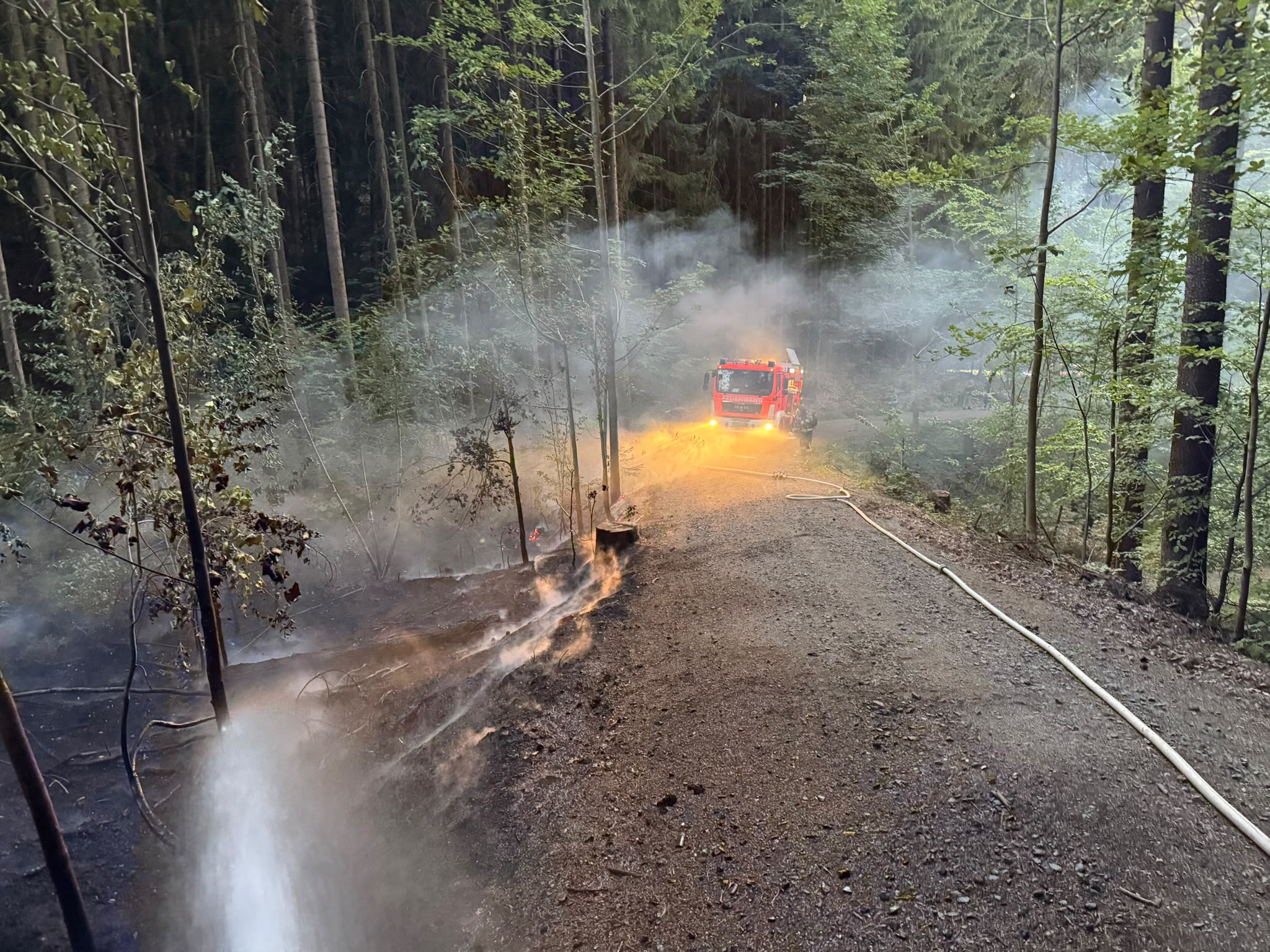 14.08. - B2 Wald - klein (<1000m²) >Tröglersricht 
