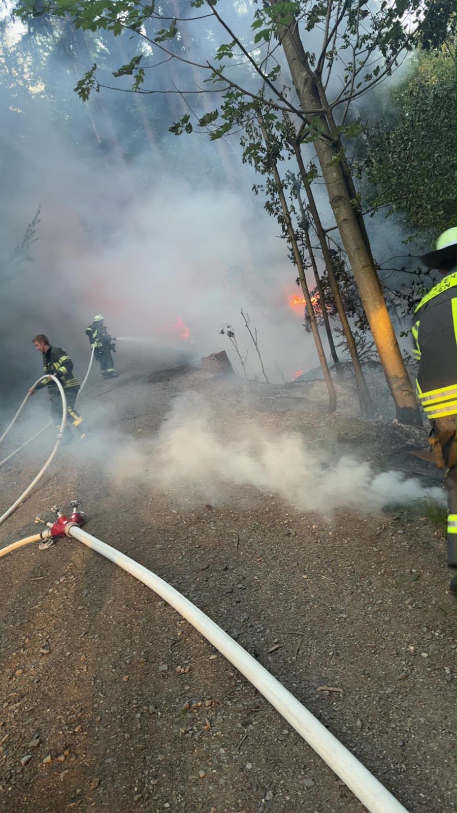 14.08. - B2 Wald - klein (<1000m²) >Tröglersricht 