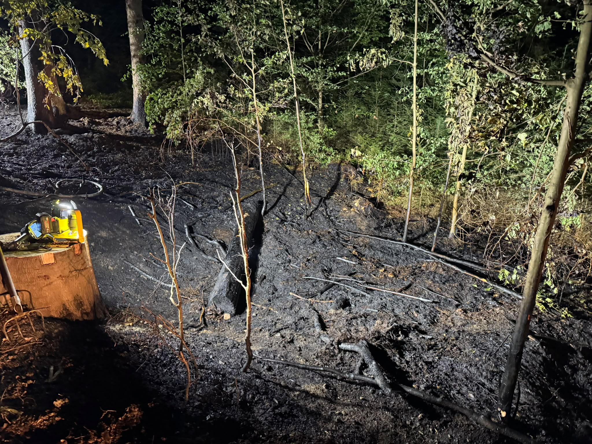 14.08. - B2 Wald - klein (<1000m²) >Tröglersricht 