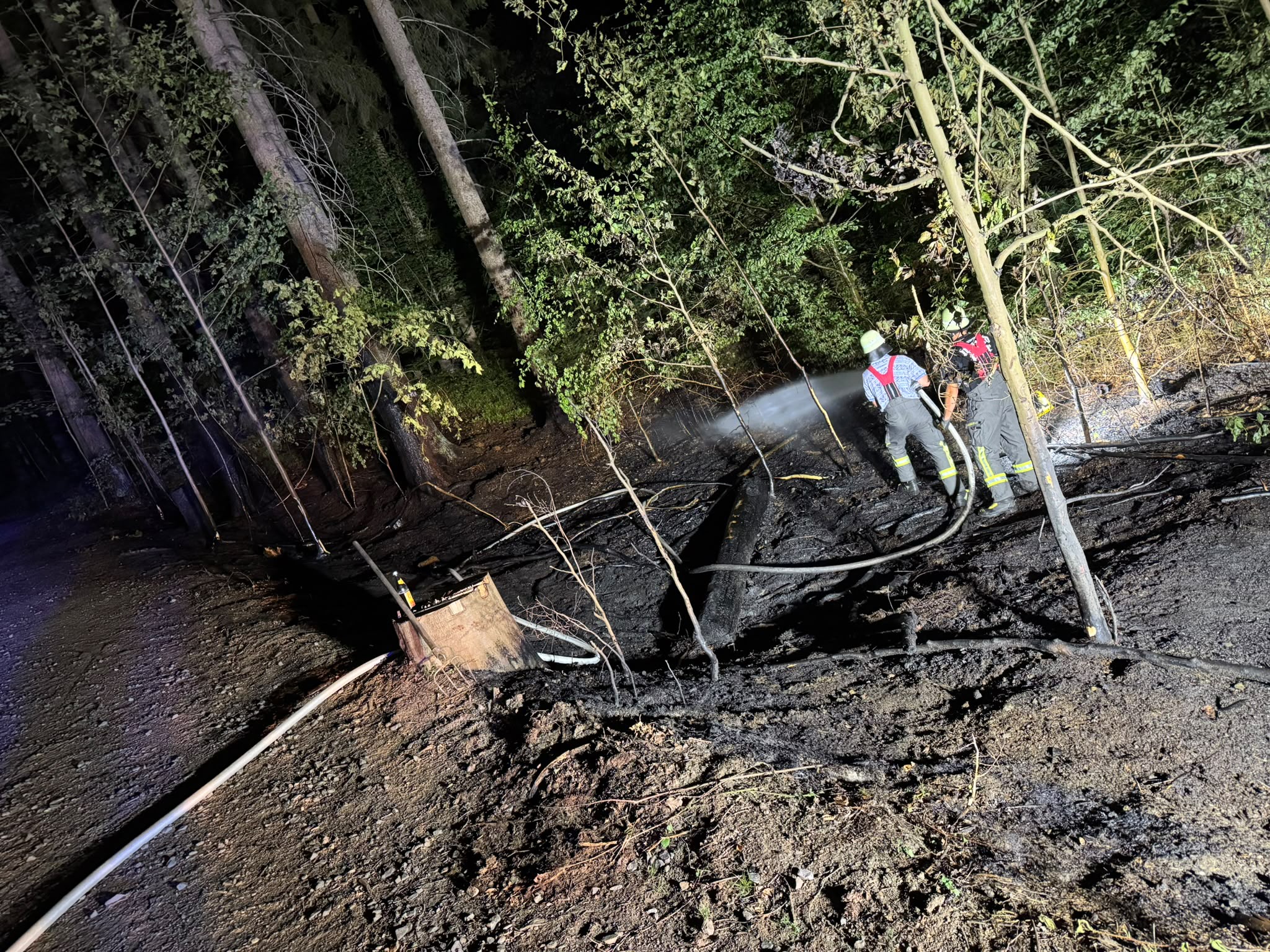 14.08. - B2 Wald - klein (<1000m²) >Tröglersricht 