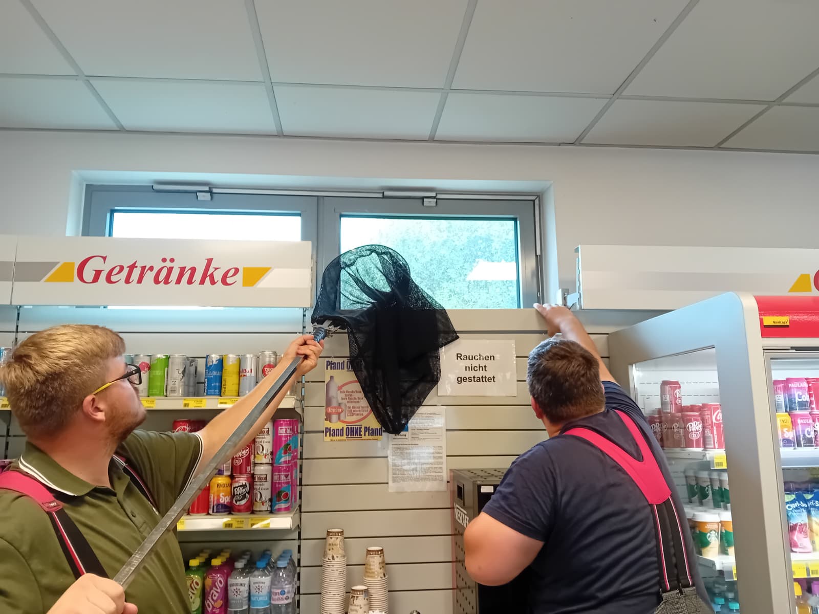 Tierischer Einsatz: Verletzten Falken aus Tankstellenshop gerettet – Bild 4