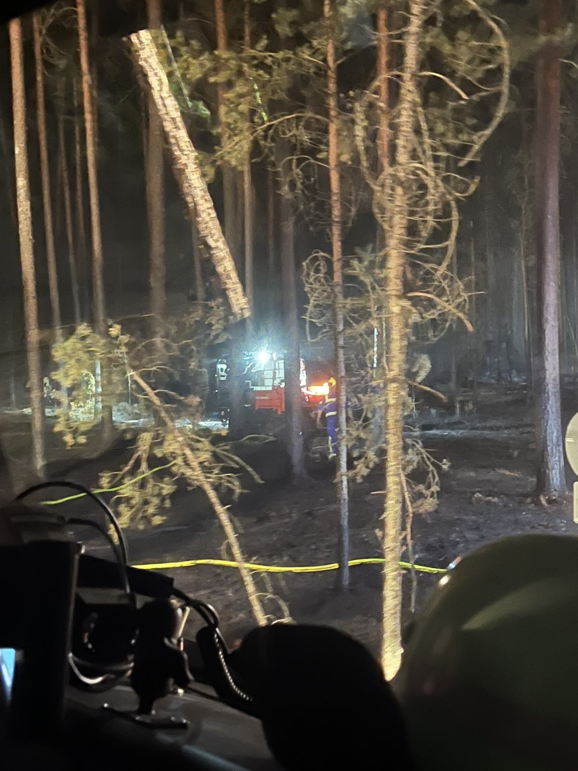 Zum Vergrößern klicken Zwei Waldbrandeinsätze in einer Nacht – Bild 2