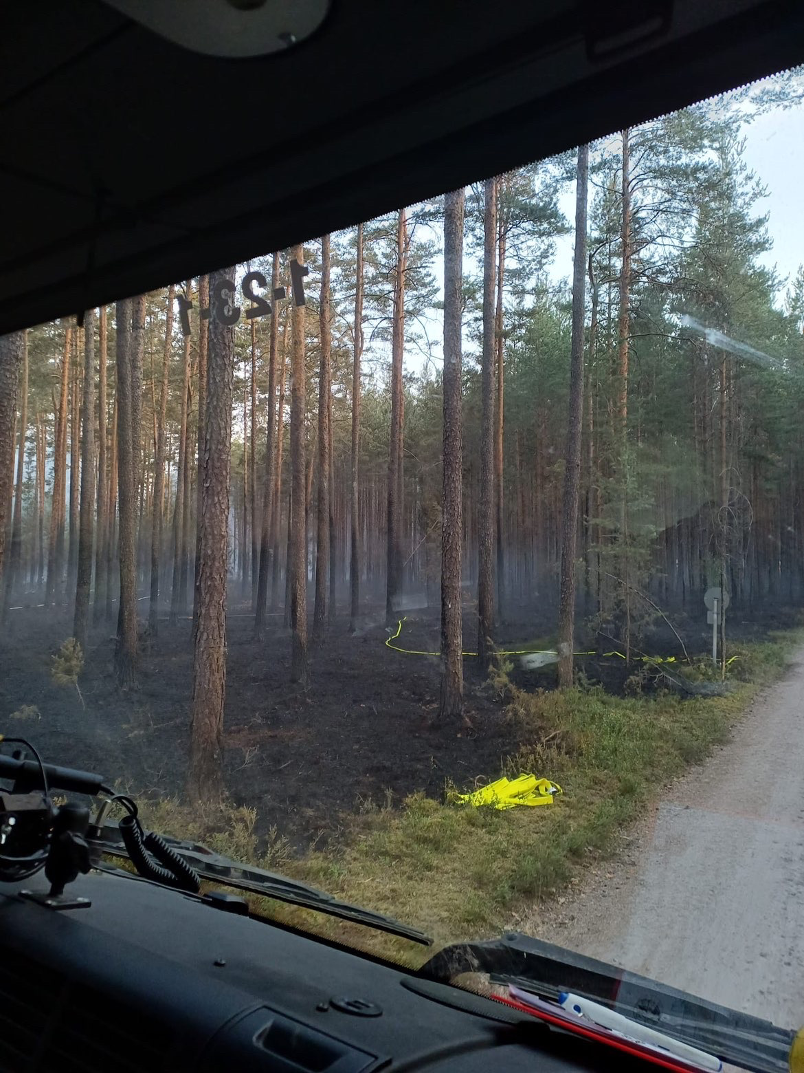 Zum Vergrößern klicken Zwei Waldbrandeinsätze in einer Nacht – Bild 4