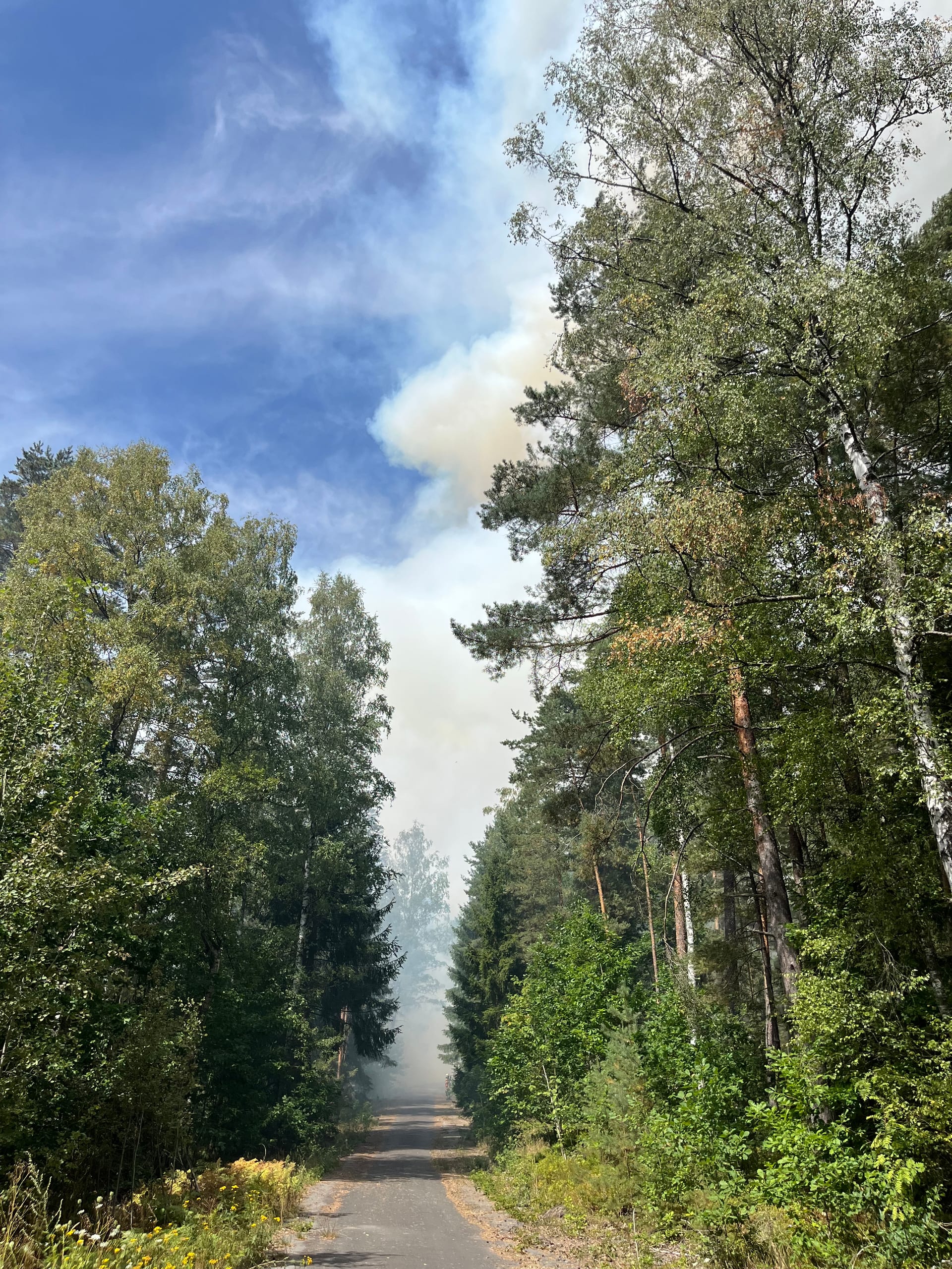 Waldbrand im Mantler Forst – Bild 8