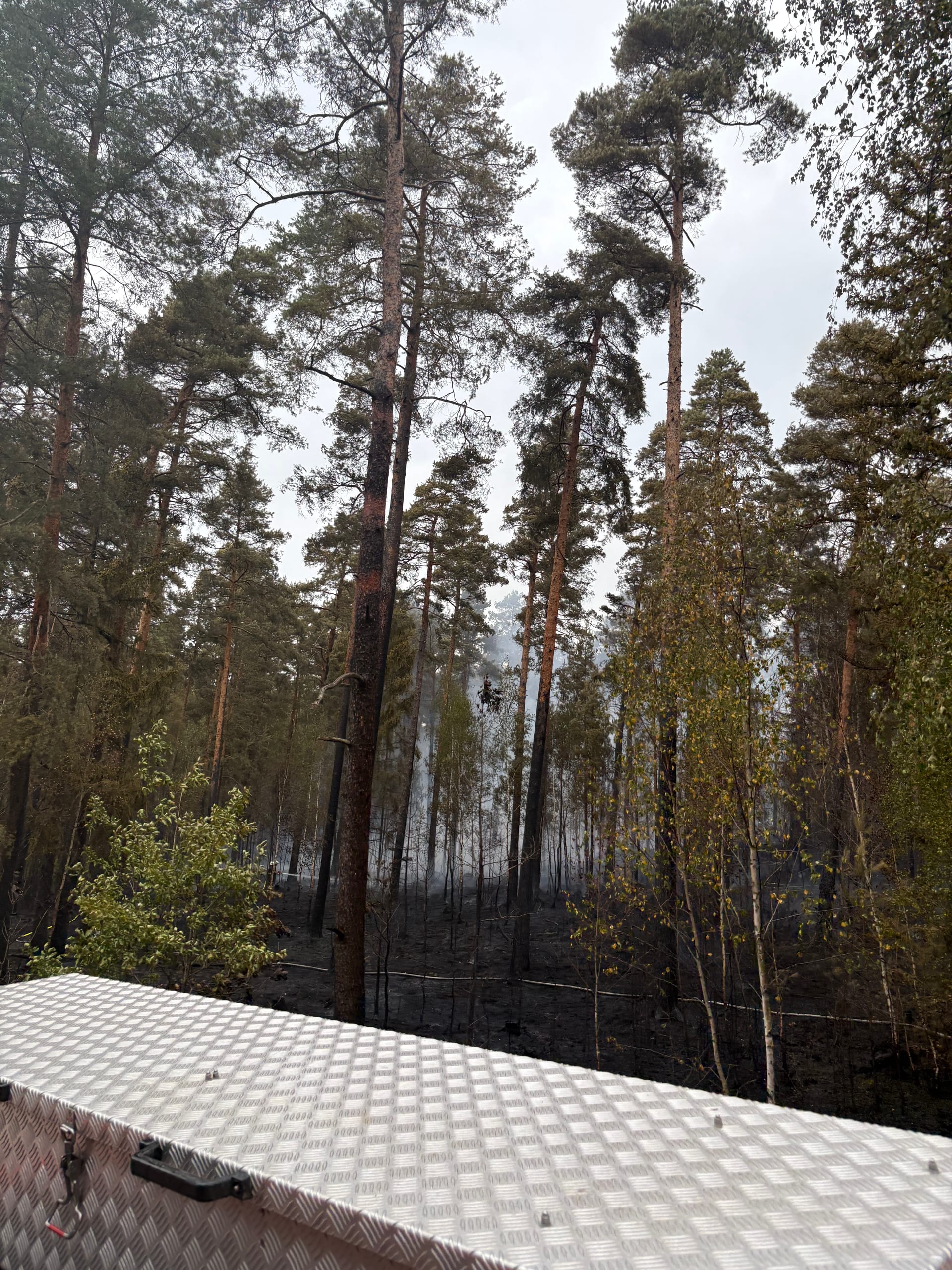 Waldbrand im Mantler Forst – Bild 10