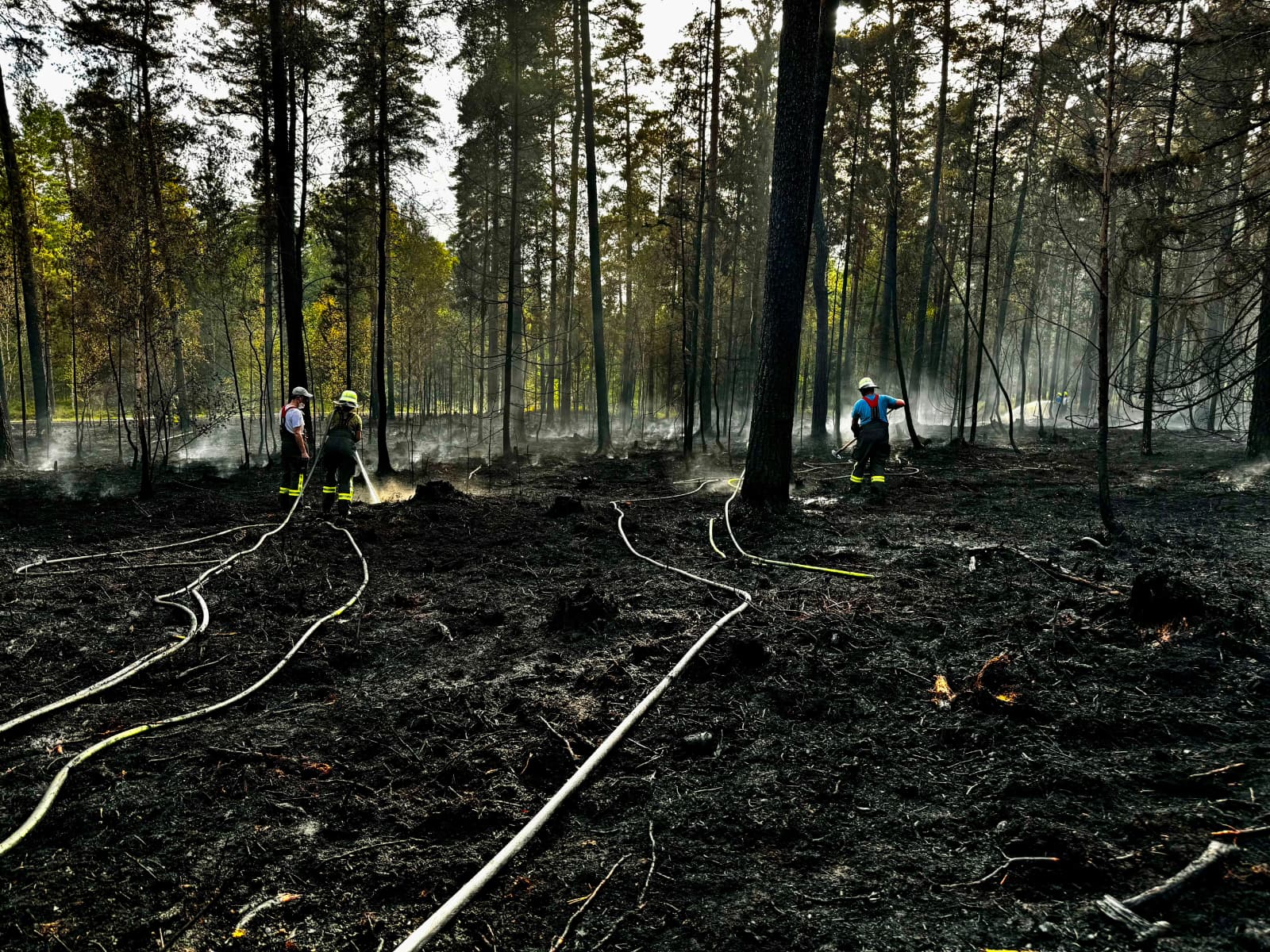 Waldbrand im Mantler Forst – Bild 5