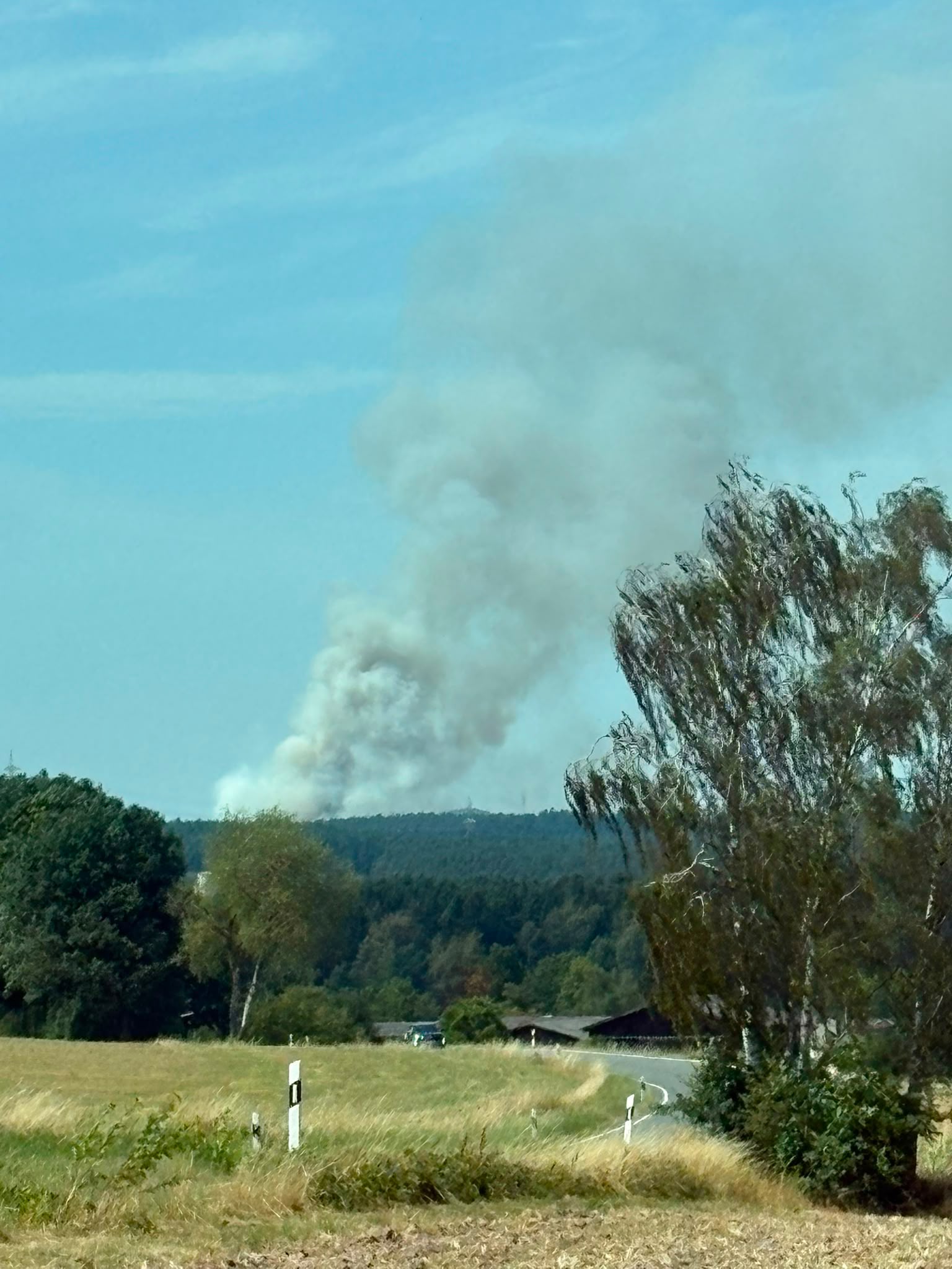 Waldbrand im Mantler Forst – Bild 2