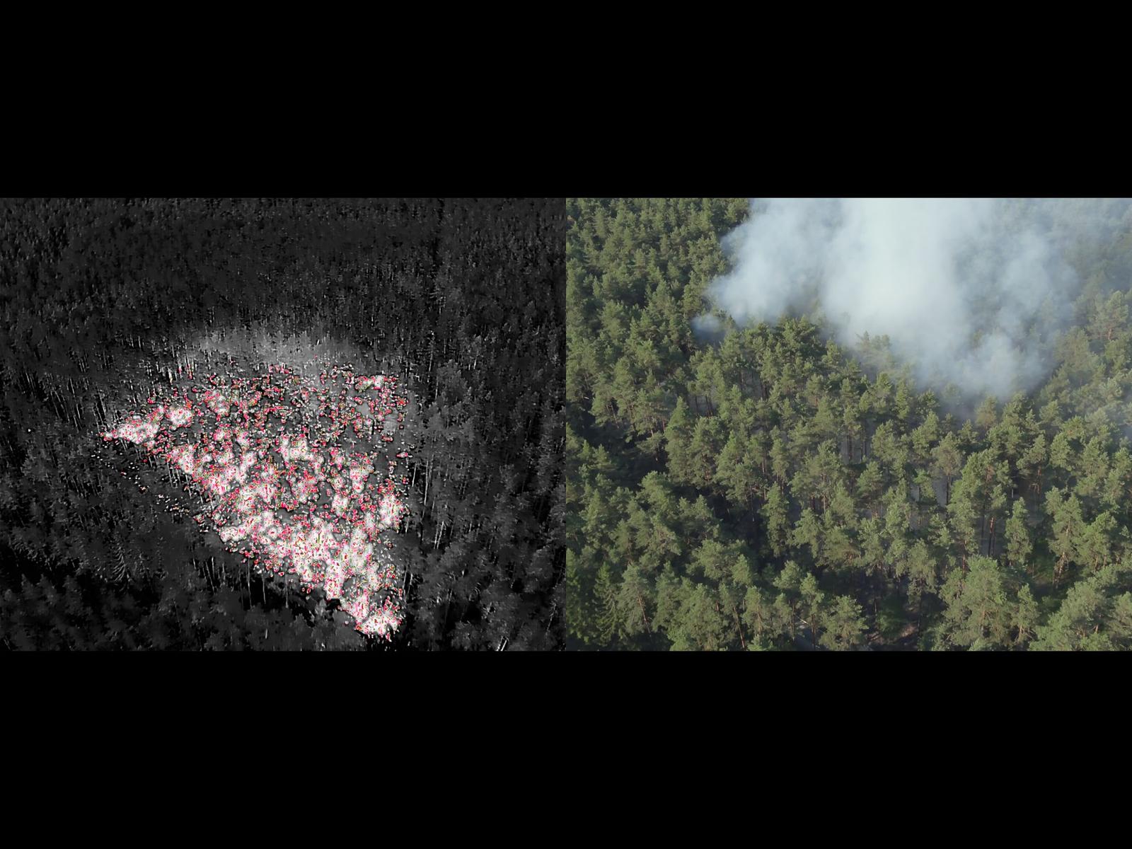 Vergleich Bild vs. Wärmebildkamera